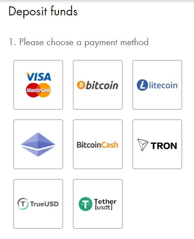 Rich Casino payment options